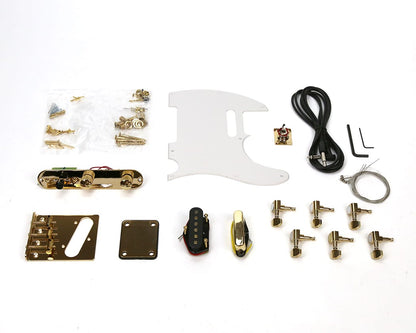 TL-1 Gold Pickup and Hardware Upgrade