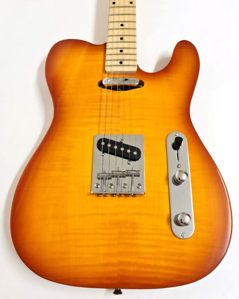 Pit Bull Guitars TLS-1 Finished Guitar - Gold Burst - view 2