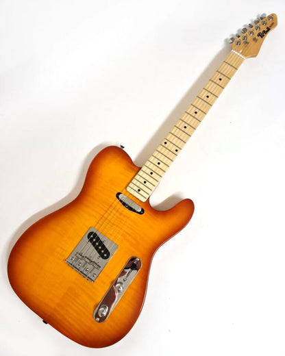 Pit Bull Guitars TLS-1 Finished Guitar - Gold Burst