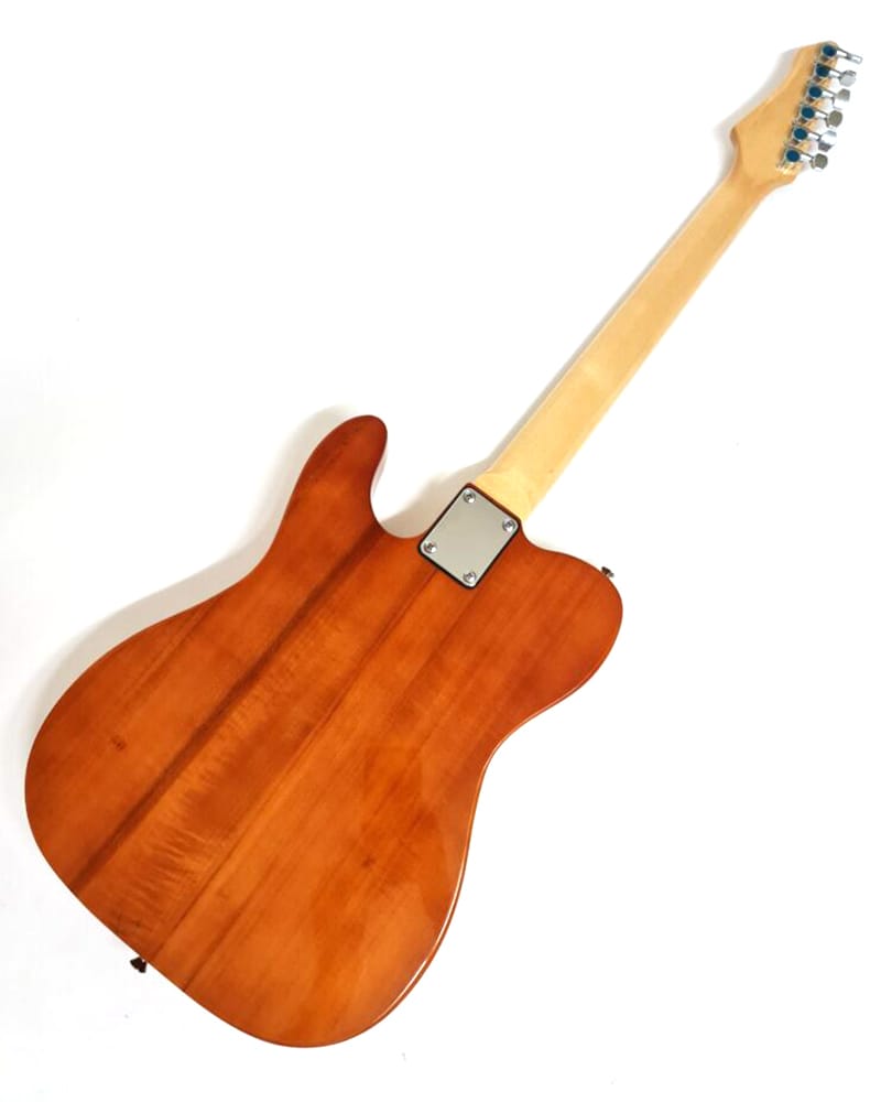 Pit Bull Guitars TLS-1 Finished Guitar - Gold Burst - view 5